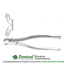American Pattern Tooth Extracting Forcep Fig. 17 (For Lower Molars) Stainless Steel, Standard